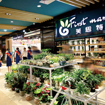 芙思特品牌形象 / 整体空间设计