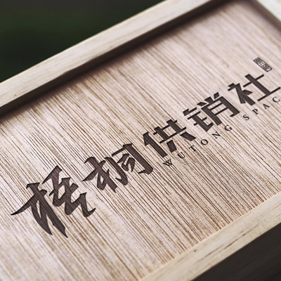 WUTONG SPACE-Brand design WUTONG SPACEBrand design